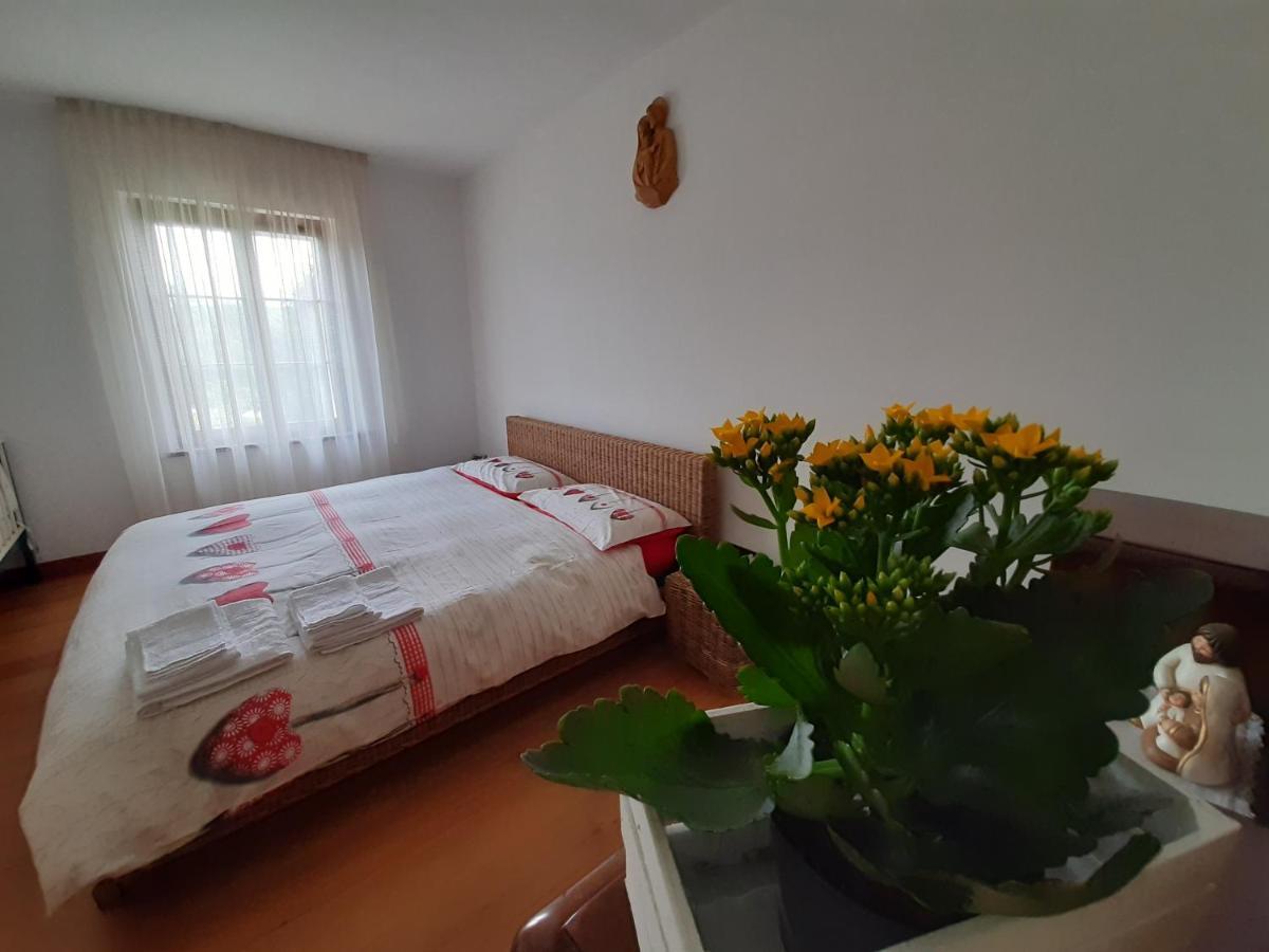 San Marcello Residence Feltre Kültér fotó