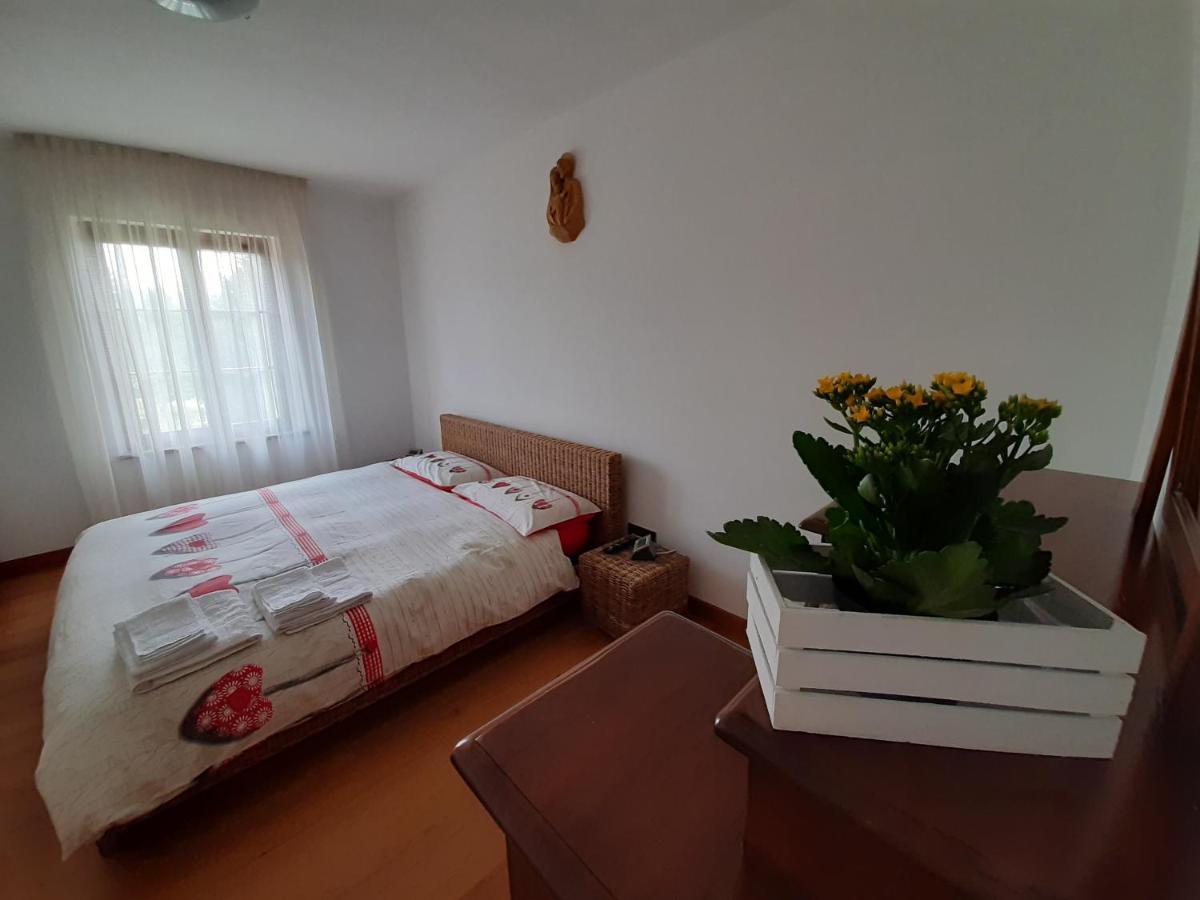 San Marcello Residence Feltre Kültér fotó