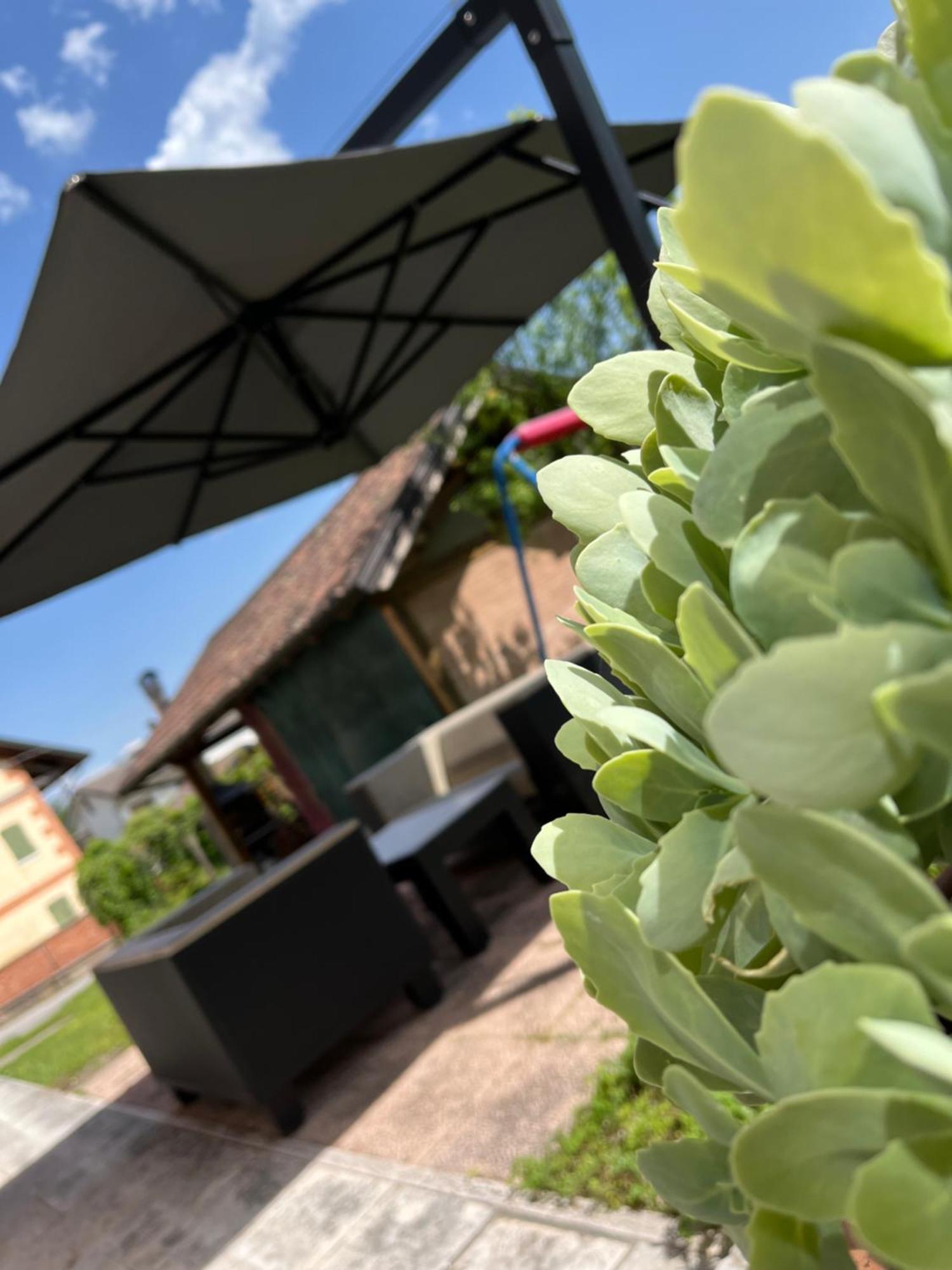 San Marcello Residence Feltre Kültér fotó